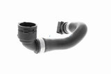 Radiator Hose - V20-3873