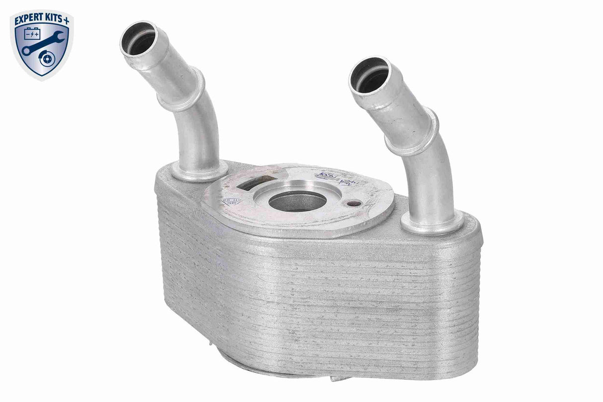 Oil Cooler, engine oil - V25-60-0065
