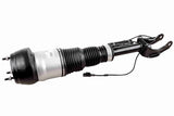 Air Suspension Strut - V30-50-0010-1