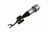 Air Suspension Strut - V30-50-0051