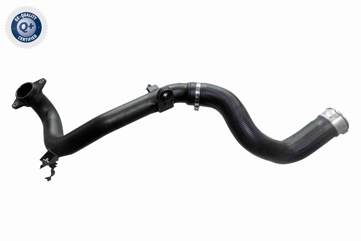 Charge Air Hose - V24-1126