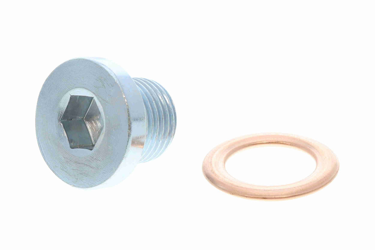 Oil Sump - V22-0346