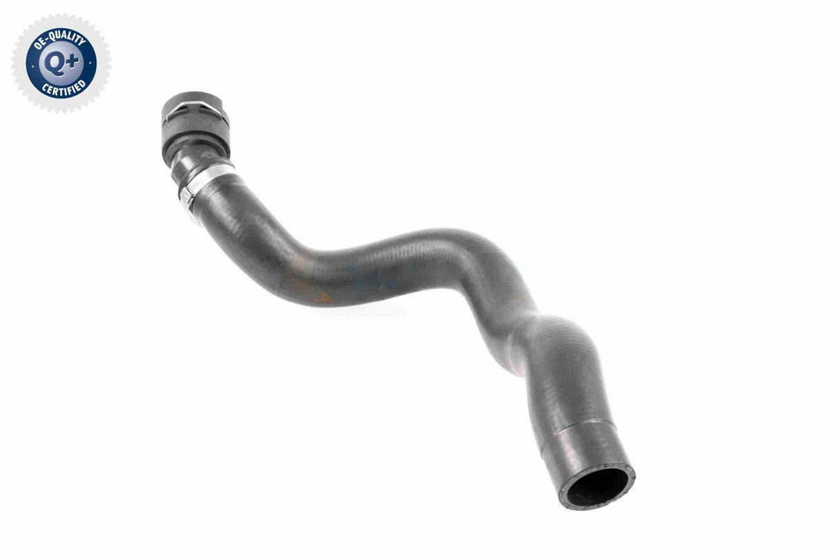 Radiator Hose - V25-1503