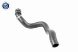 Radiator Hose - V25-1503