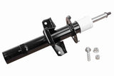 Shock Absorber - V25-0365