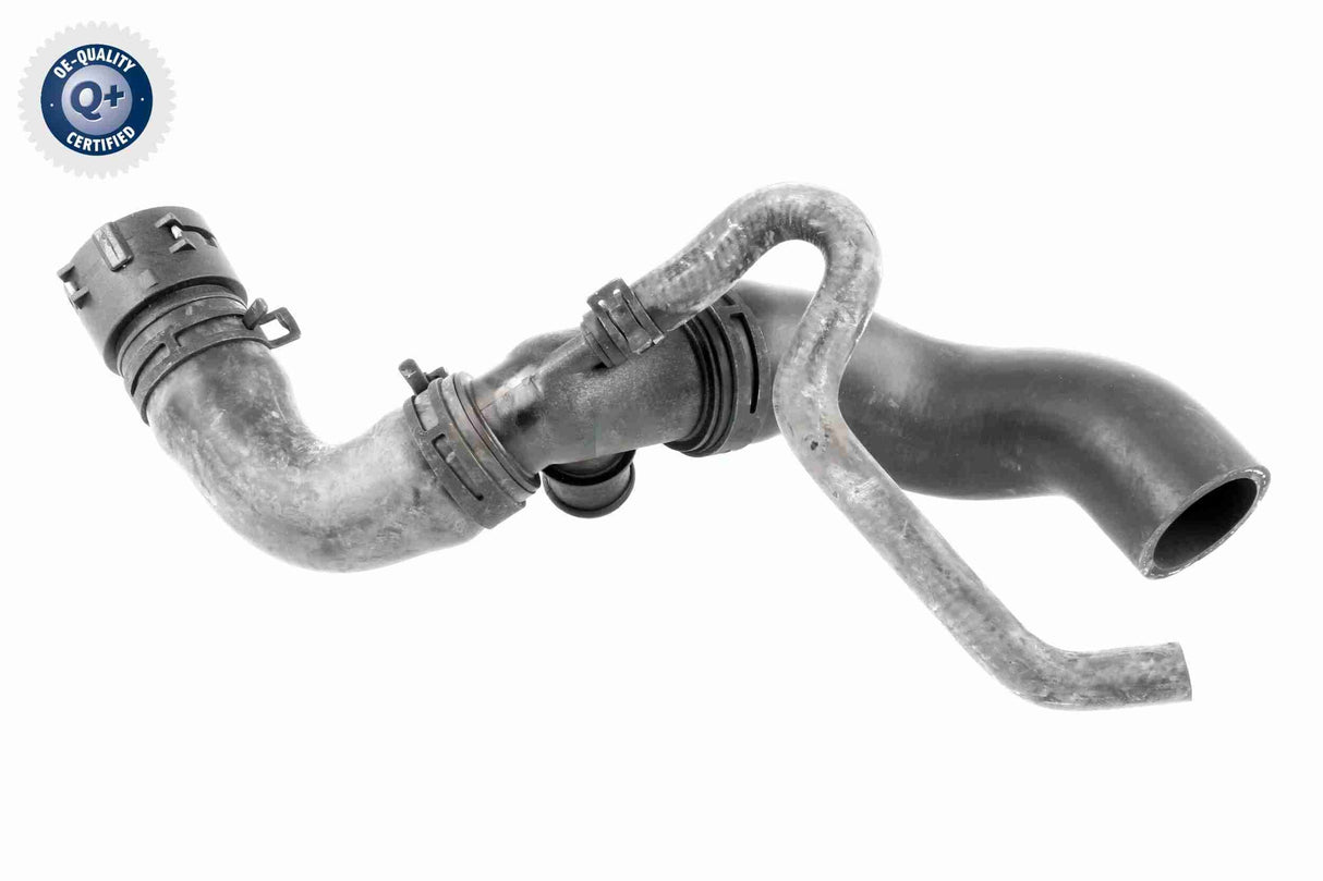 Radiator Hose - V10-3915