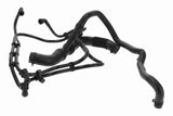 Radiator Hose - V48-0669