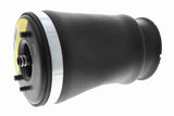 Air Suspension Strut - V20-50-0020-1