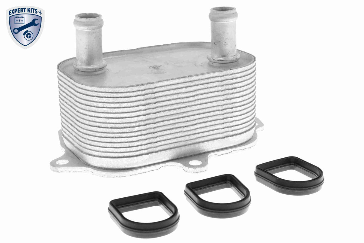 Oil Cooler, engine oil - V15-60-6091