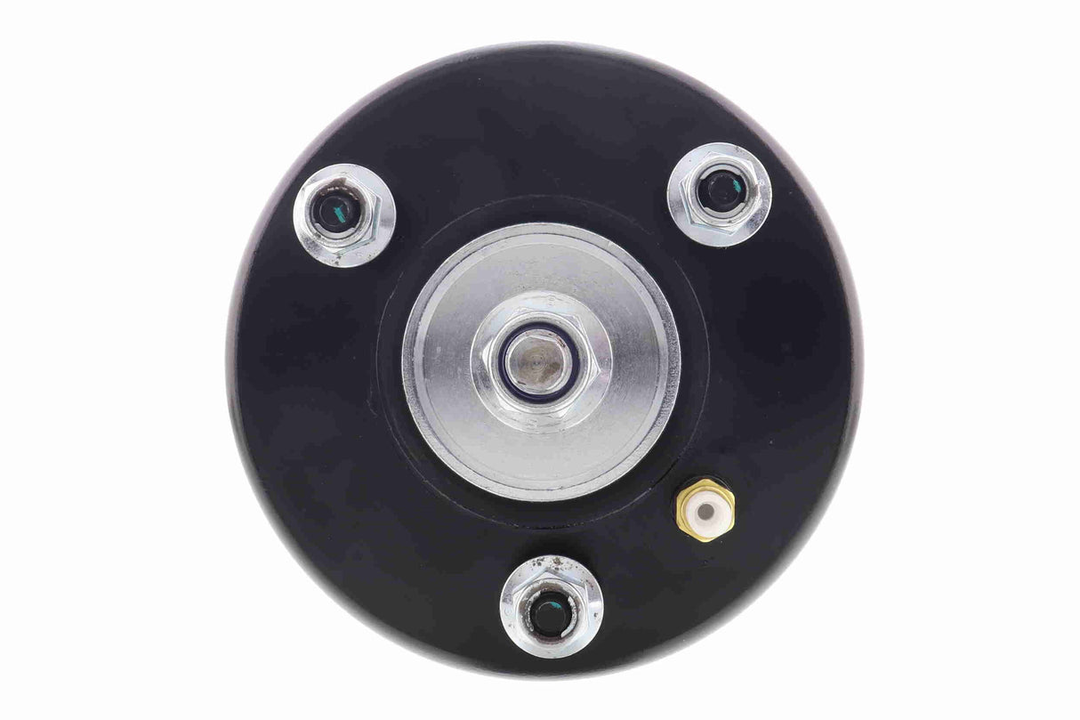 Air Suspension Strut - V48-50-0014