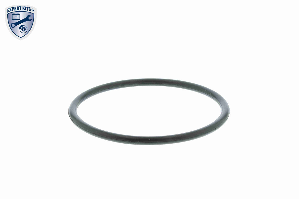 Thermostat, coolant - V15-99-2001
