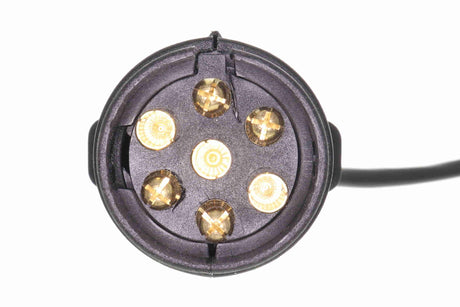 Tail Light Assembly Set - V98-66006
