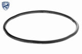 Housing, fuel filter - V22-0746