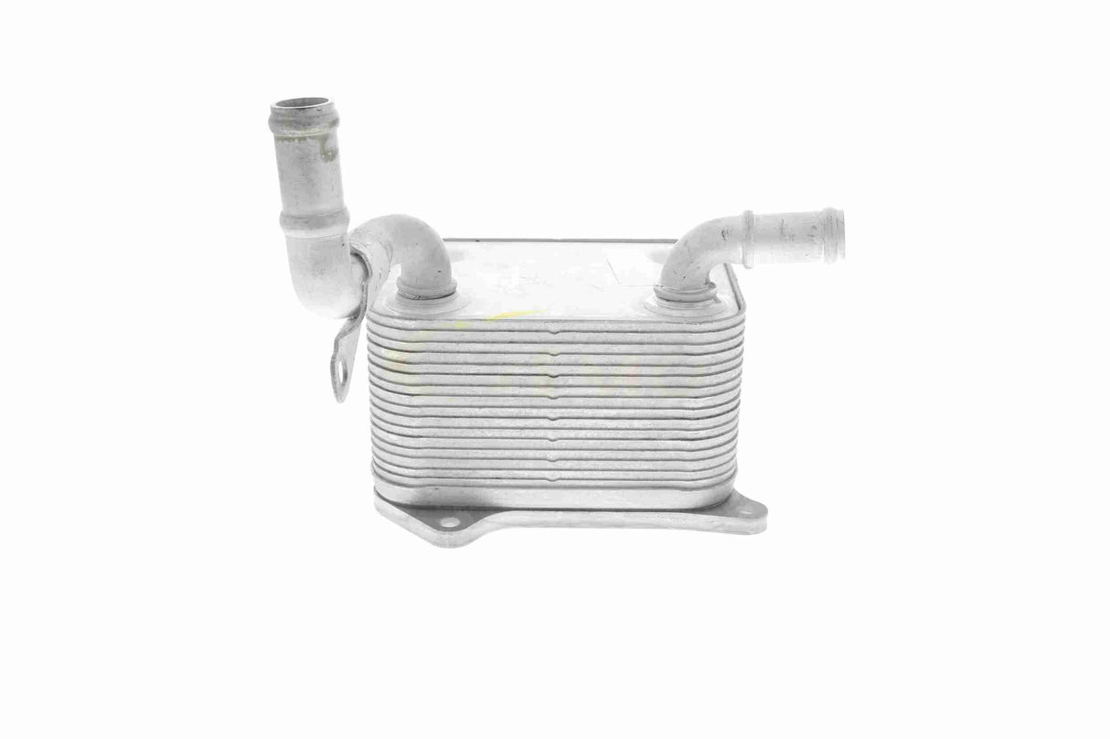 Oil Cooler, engine oil - V15-60-0013