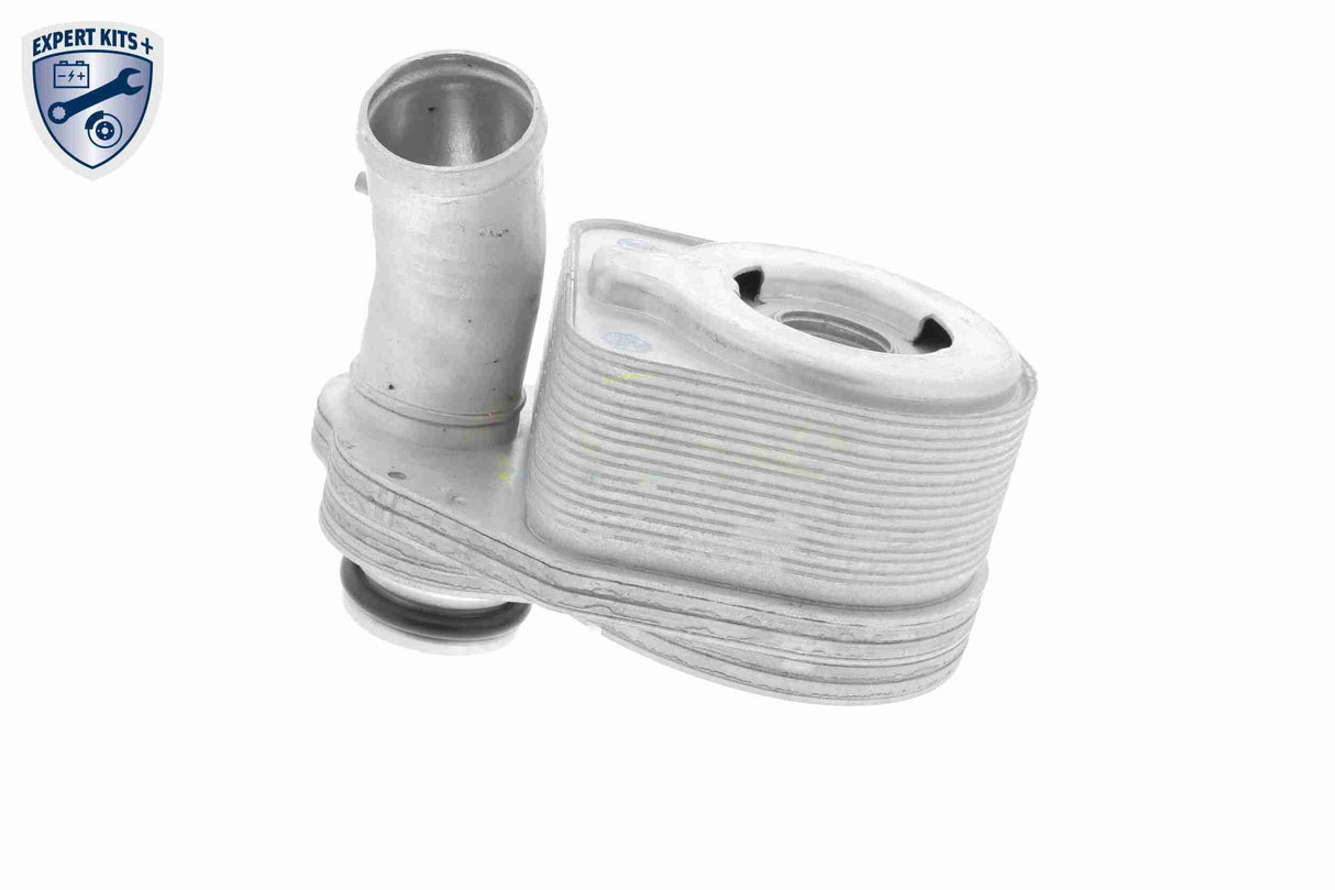 Oil Cooler, engine oil - V24-60-0011