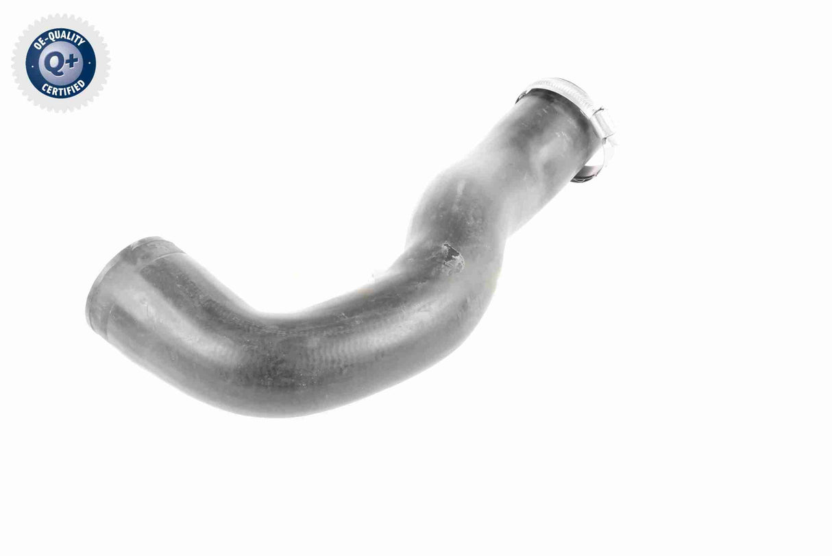 Charge Air Hose - V40-1509