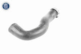Charge Air Hose - V40-1509