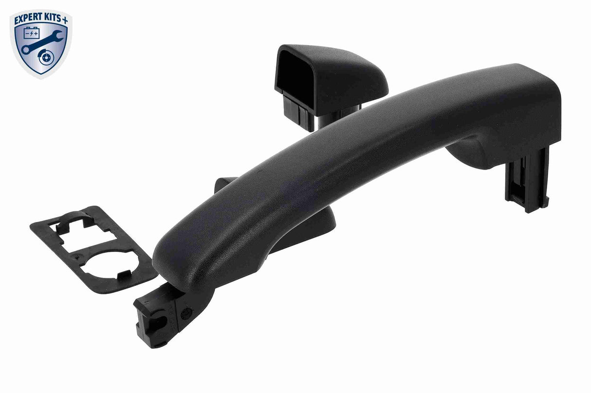 Exterior Door Handle - V46-1599