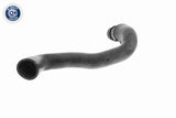 Radiator Hose - V20-2462