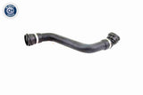 Radiator Hose - V20-2691