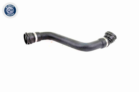 Radiator Hose - V20-2691