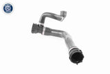 Radiator Hose - V20-2895