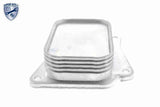 Oil Cooler, engine oil - V30-60-1313