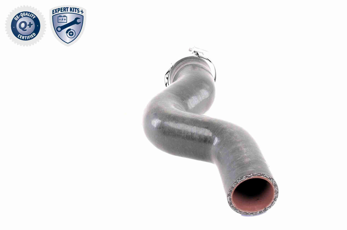 Charge Air Hose - V38-0488