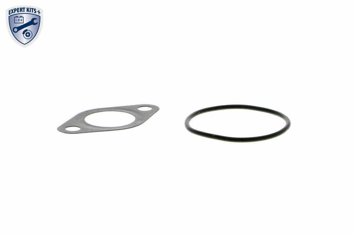 Valve, exhaust gas recirculation - V10-63-0020