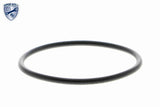 Thermostat Housing - V20-99-1268