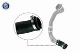 Charge Air Hose - V48-0186