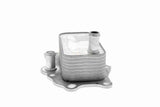 Oil Cooler, engine oil - V51-60-0004