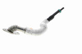 Hose, crankcase ventilation - V10-4852