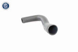 Charge Air Hose - V40-1365