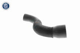 Charge Air Hose - V10-3831