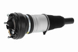 Air Suspension Strut - V15-50-0011