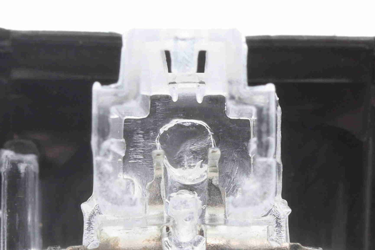 Licence Plate Light - V10-84-0065