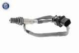Oxygen Sensor - V53-76-0006