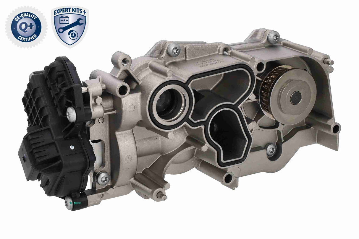 Water Pump & Timing Belt Kit - V10-50114