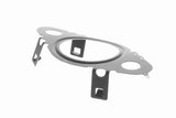 Gasket, EGR valve - V10-63-9076