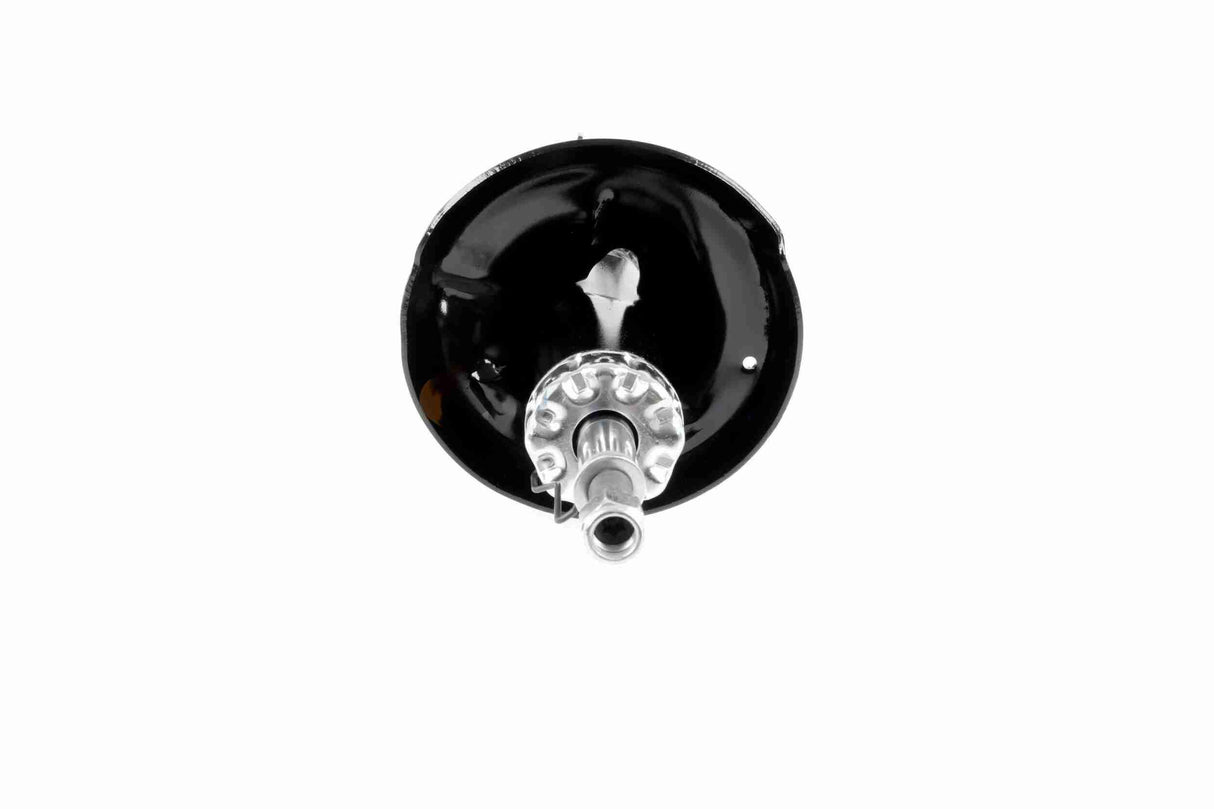 Shock Absorber - V10-4980