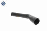 Charge Air Hose - V25-1406