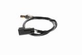 Oxygen Sensor - V25-76-0011