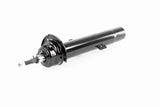 Shock Absorber - V20-2181