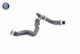 Radiator Hose - V30-2233