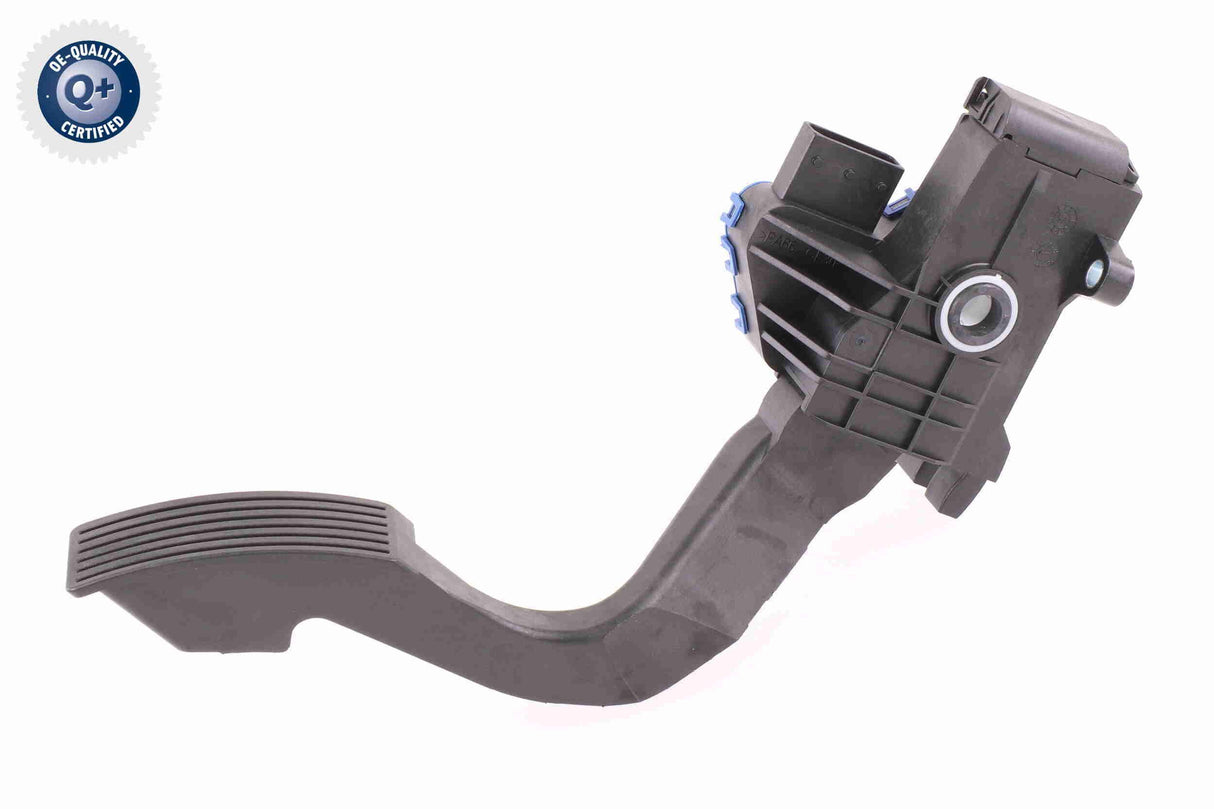 Accelerator Pedal - V24-82-0005