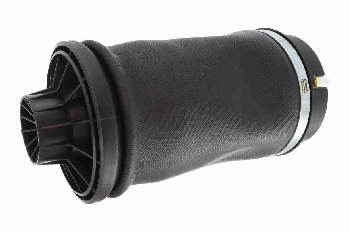 Air Suspension Strut - V30-50-0008-1
