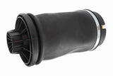 Air Suspension Strut - V30-50-0008-1