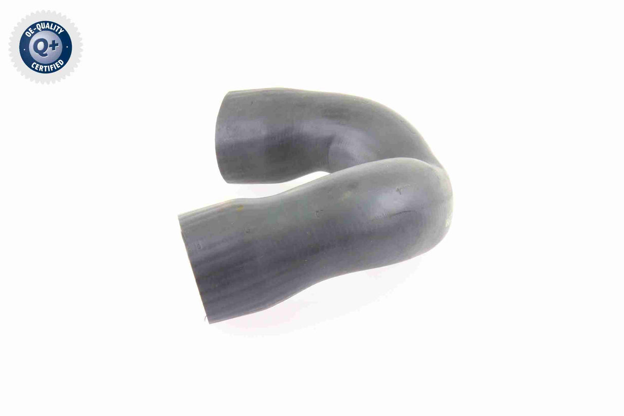 Charge Air Hose - V10-3821