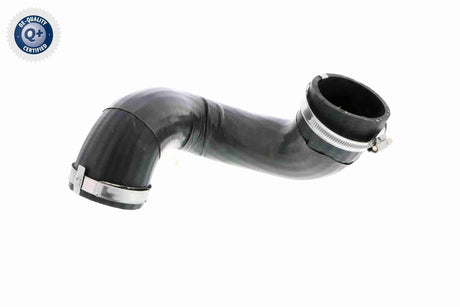 Charge Air Hose - V10-3792